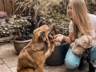 nacimi-hundetraining-hund-gibt-frau-mit-katze-pfoetchen