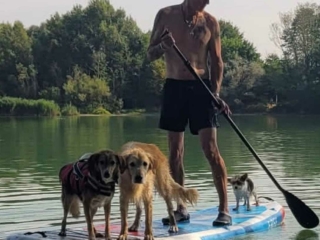 nacimi-hundetraining-mann-mit-drei-hunden-auf-einem-sup-quadrat