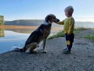 nacimi-hundetraining-hund-mit-kind-am-see