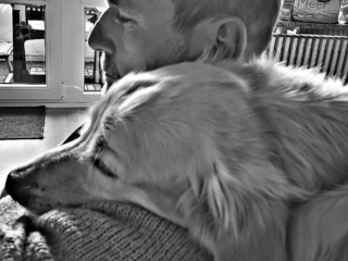 nacimi-hundetraining-mann-mit-hund-sitzend