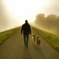 nacimi-hundetraining-mann-mit-zwei-hunden-auf-strasse-im-nebel
